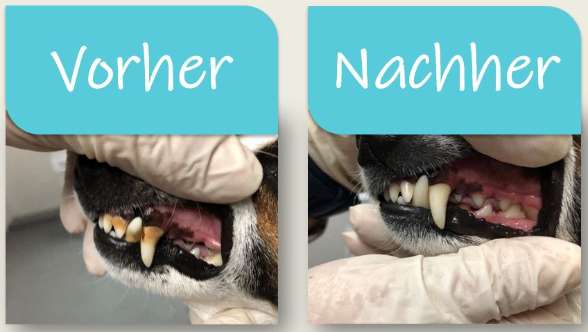 Titelbild der Liste