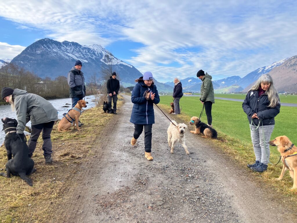 Titelbild der Liste