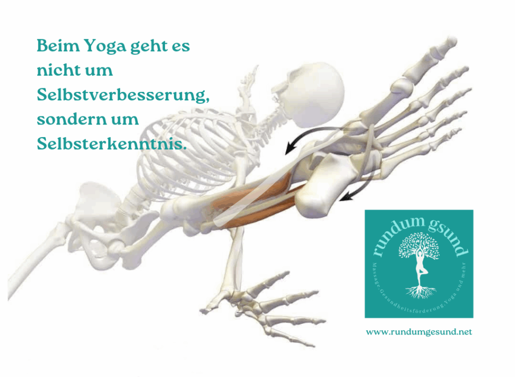Titelbild der Liste